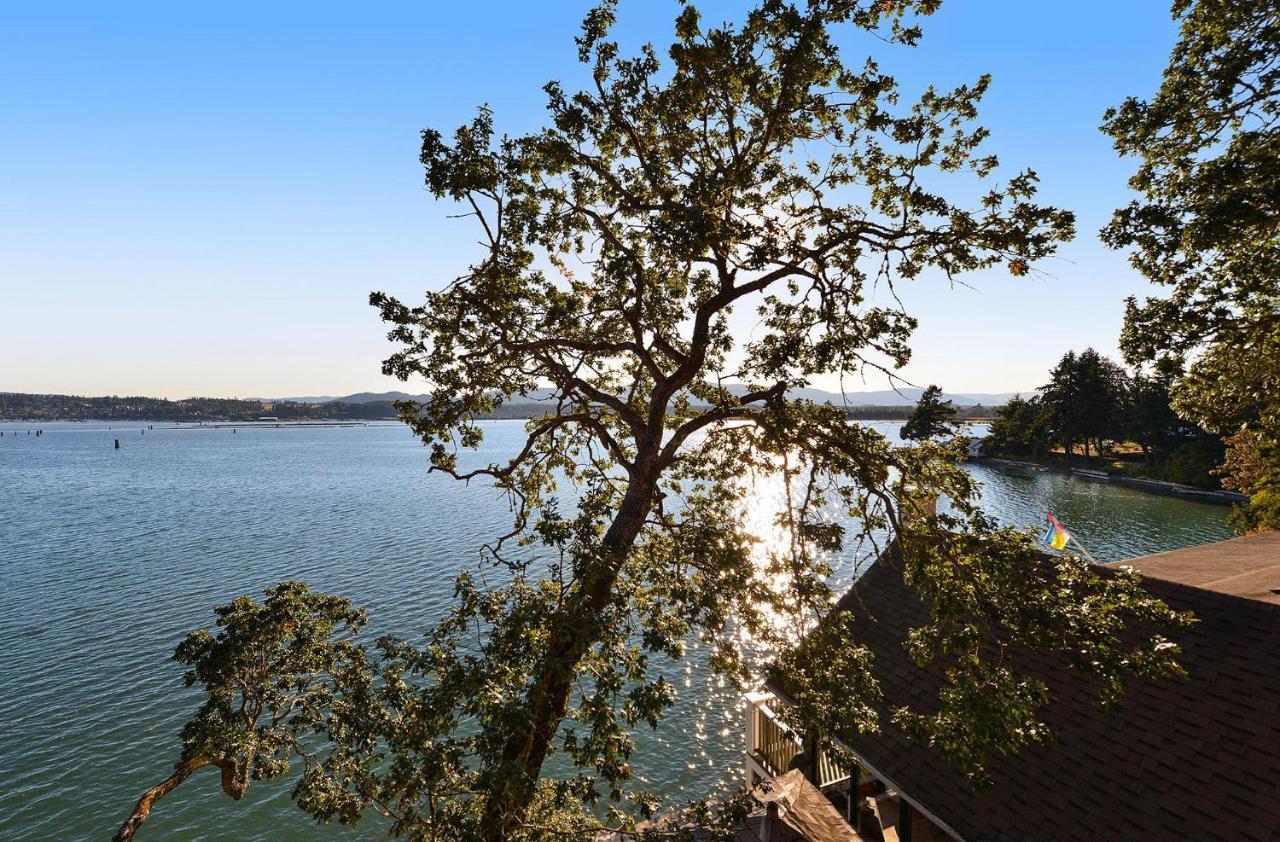 Salishan Tree House Suite Cowichan Bay Esterno foto