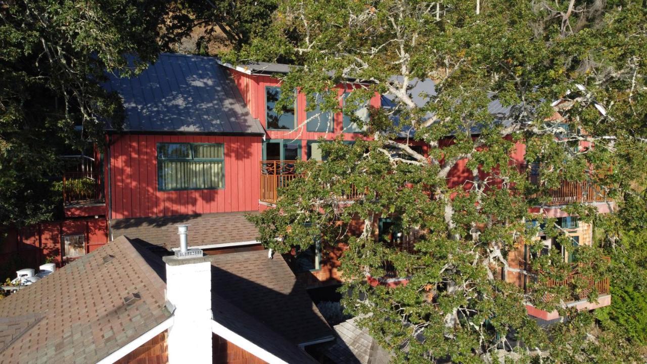 Salishan Tree House Suite Cowichan Bay Esterno foto